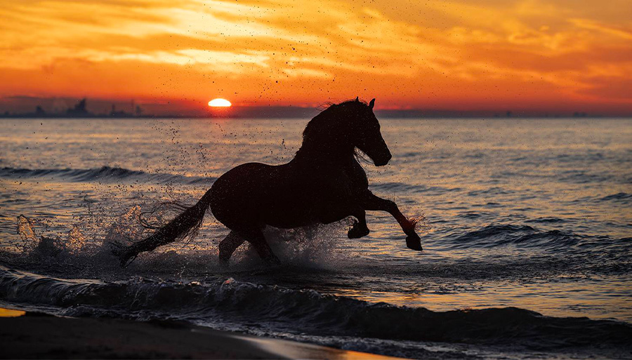 Top Photographers in the USA