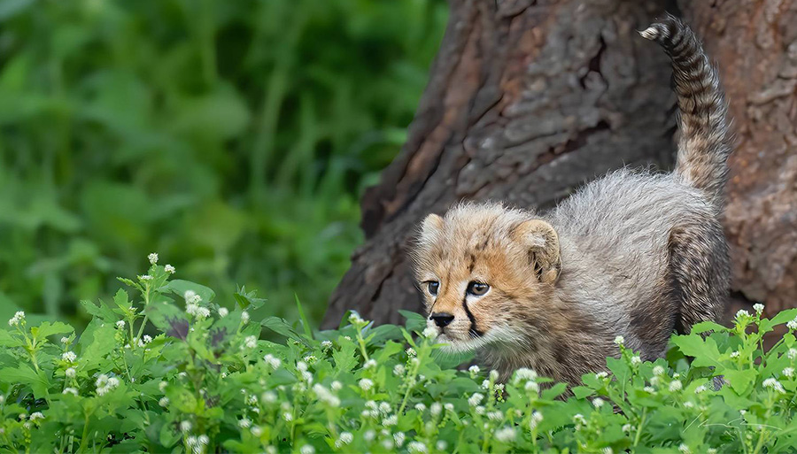 Top Photographers in the USA