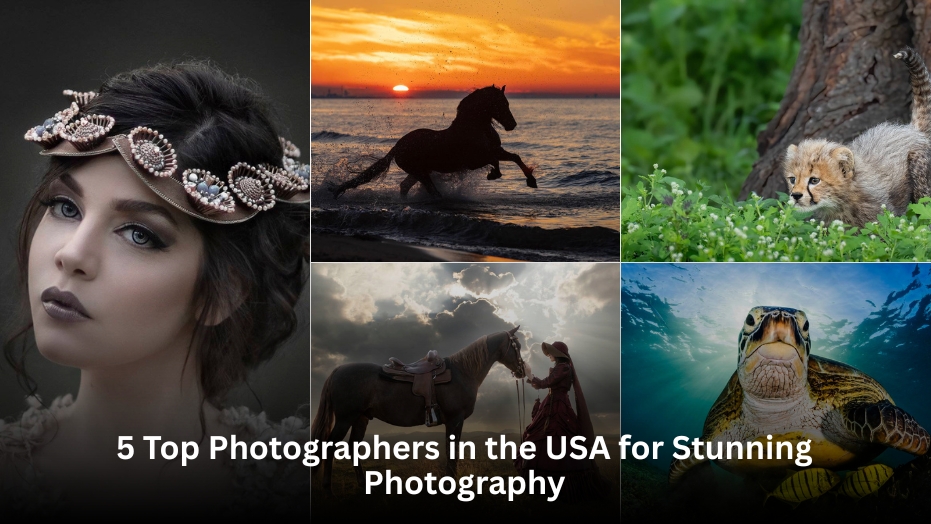 Top Photographers in the USA